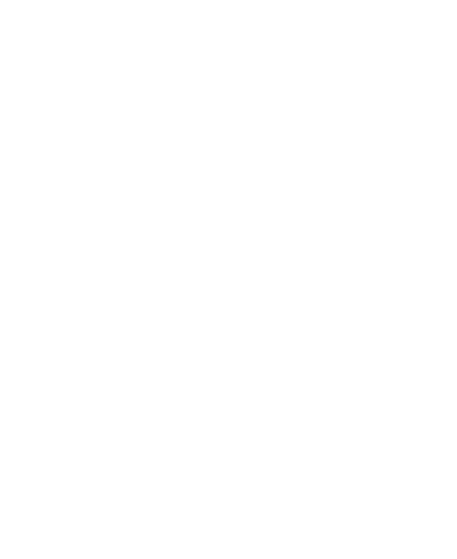 06 Test
